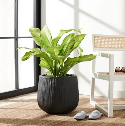 FRANCIA PLANTER