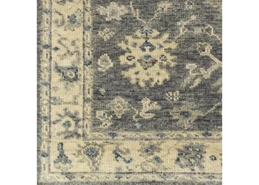 Biscayne 2' x 3' Rug