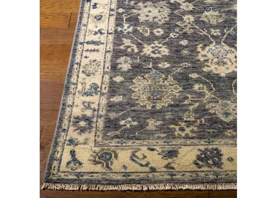 Biscayne 2' x 3' Rug