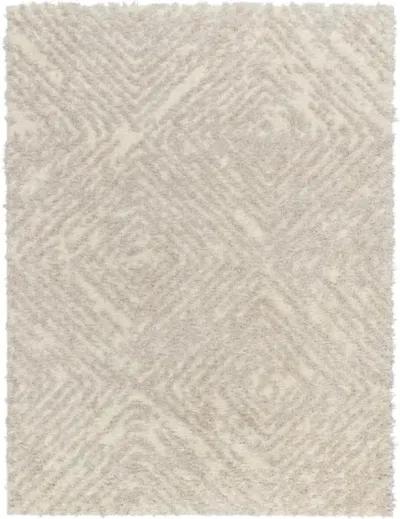 Everton Plus EVP-2313 5'3" x 7' Machine Woven Rug