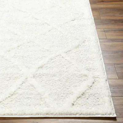 Rodos RDO-2301 5'3" x 7' Machine Woven Rug