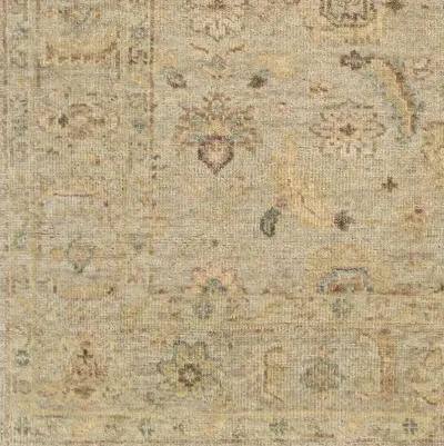 Biscayne BSY-2317 6' x 9' Handmade Rug