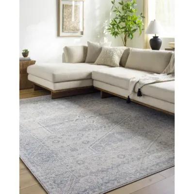 Alpharetta APH-2313 5'3" x 7' Machine Woven Rug