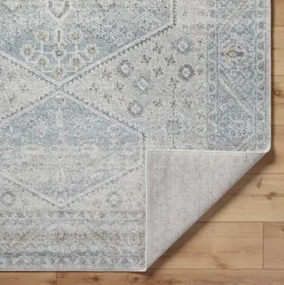 Alpharetta APH-2313 5'3" x 7' Machine Woven Rug