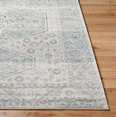 Alpharetta APH-2313 5'3" x 7' Machine Woven Rug