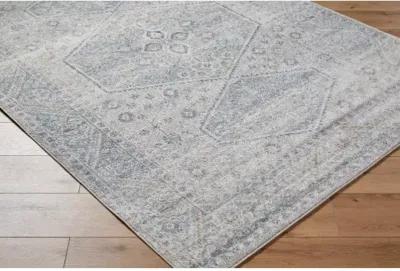 Alpharetta APH-2313 5'3" x 7' Machine Woven Rug