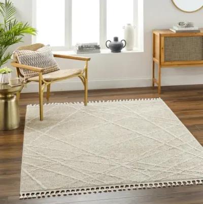 Rudy RDY-2307 5'3" x 7' Machine Woven Rug