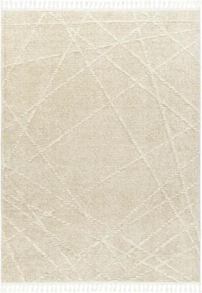 Rudy RDY-2307 5'3" x 7' Machine Woven Rug