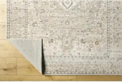 Alpharetta APH-2303 6'7" x 9' Machine Woven Rug