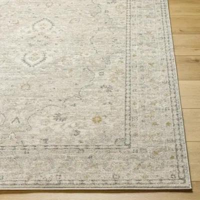 Alpharetta APH-2303 6'7" x 9' Machine Woven Rug