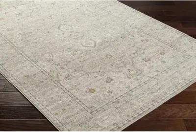 Alpharetta APH-2303 6'7" x 9' Machine Woven Rug