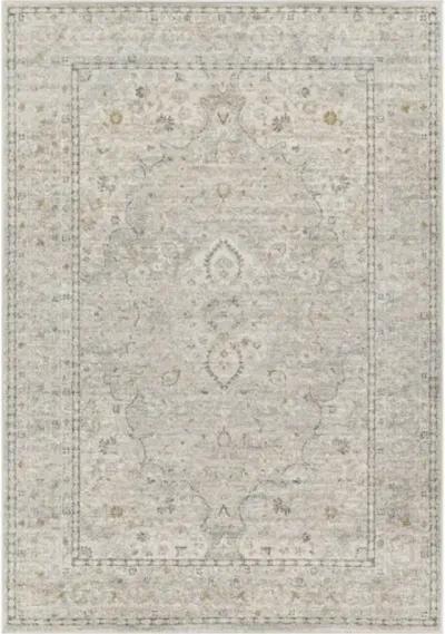 Alpharetta APH-2303 6'7" x 9' Machine Woven Rug