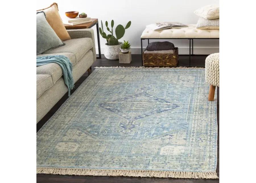 Zainab 8'10" x 12' Rug