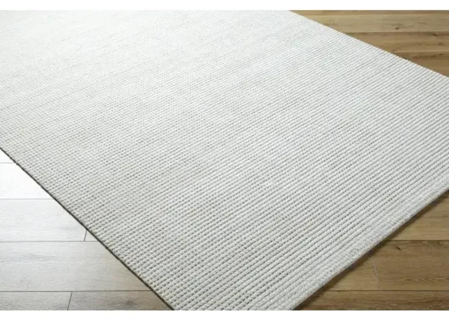 Boston BBT-2300 2' x 3' Handmade Rug