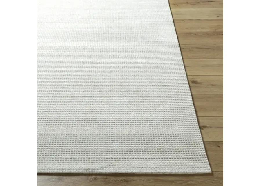 Boston BBT-2300 2' x 3' Handmade Rug