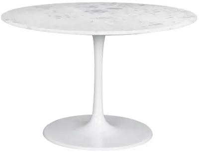 Phoenix Dining Table White