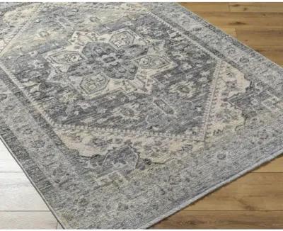 Chicago CHG-2316 2'10" x 8' Machine Woven Rug