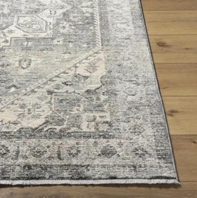 Chicago CHG-2316 2'10" x 8' Machine Woven Rug