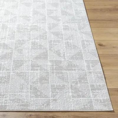 Nesta NST-2302 5'3" x 7' Machine Woven Rug