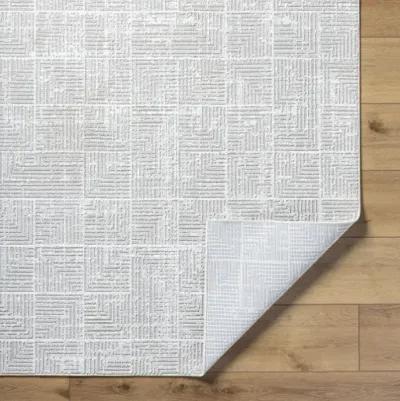 Nesta NST-2302 5'3" x 7' Machine Woven Rug