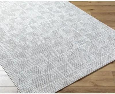 Nesta NST-2302 5'3" x 7' Machine Woven Rug