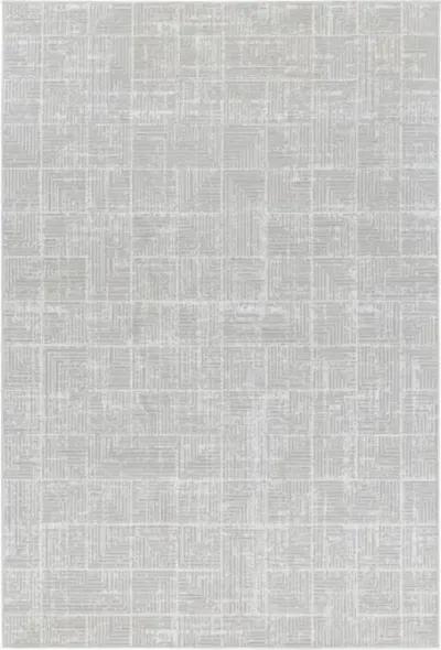 Nesta NST-2302 5'3" x 7' Machine Woven Rug