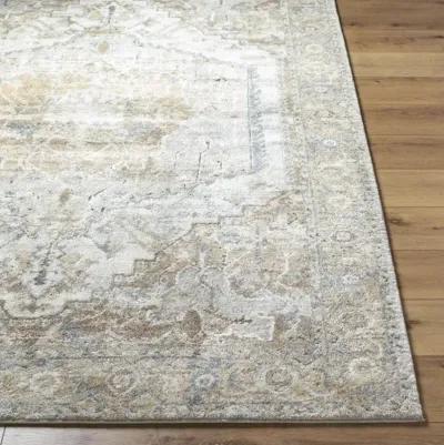 Avellino AVL-2318 6'7" x 9'2" Machine Woven Rug