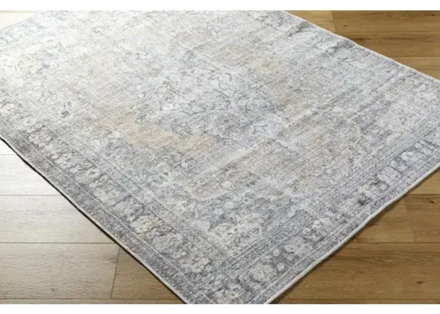 Darling BODA-2305 2'7" x 7'3" Machine Woven Rug