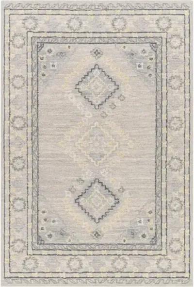 Addyson AYO-2304 9' x 12' Hand Made Rug