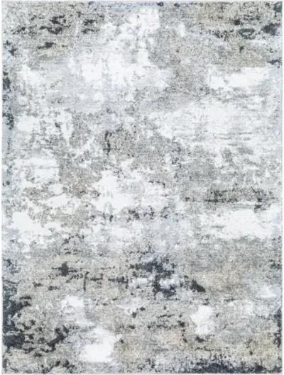 Portofino PTF-2321 6'7" x 9' Machine Woven Rug