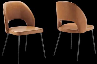 Nico Dining Chair - Set of 2