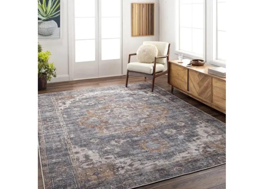 Tahmis 8'10" x 12' Rug