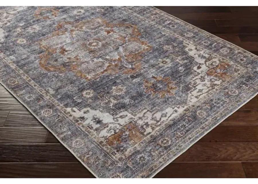 Tahmis 8'10" x 12' Rug