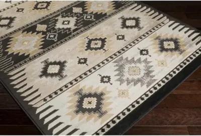 Paramount 8'10" x 12'10" Rug