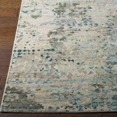 Biscayne 4' x 6' Rug