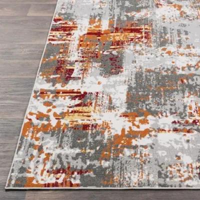 Rafetus 5'3" x 7'7" Rug