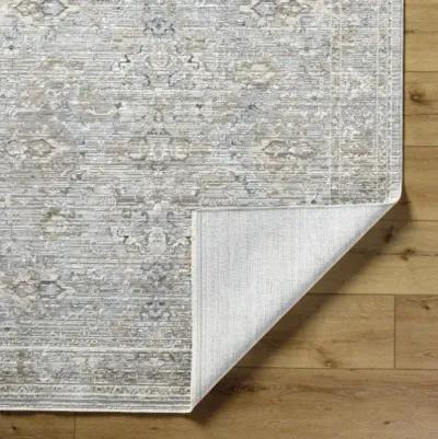 Presidential PDT-2330 3'3" x 10' Machine Woven Rug