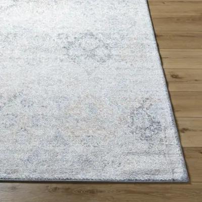 Harput HAP-1168 8'10" x 12'6" Machine Woven Rug