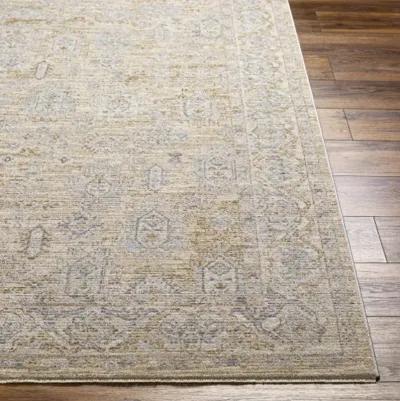 Avant Garde AVT-2340 2'7" x 10' Rug