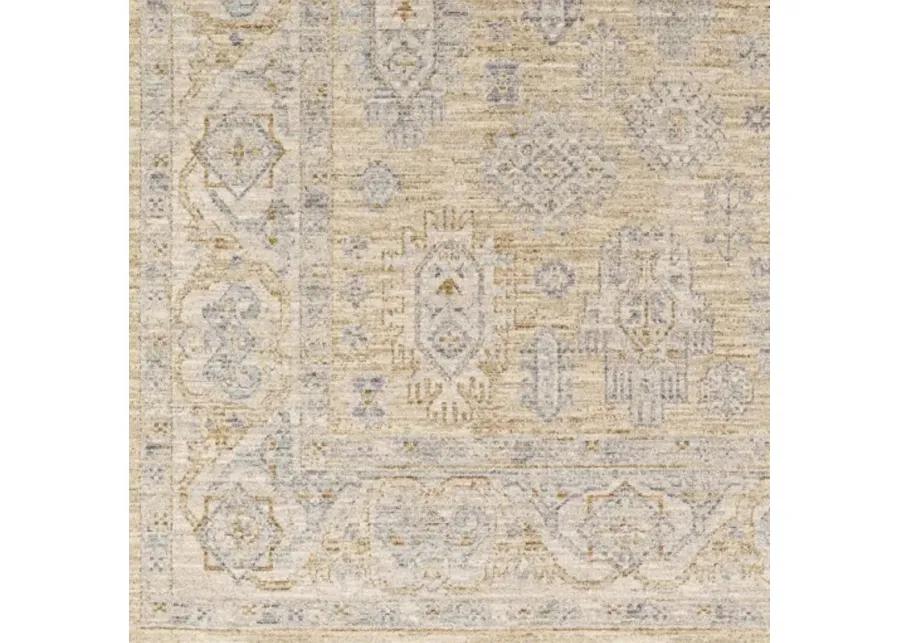 Avant Garde AVT-2340 2'7" x 10' Rug