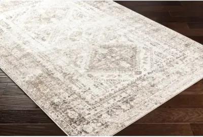 Monte Carlo MNC-2342 5'3" x 5'3" Machine Woven Rug