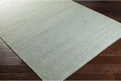 Evora EVO-2302 2'6" x 8' Rug