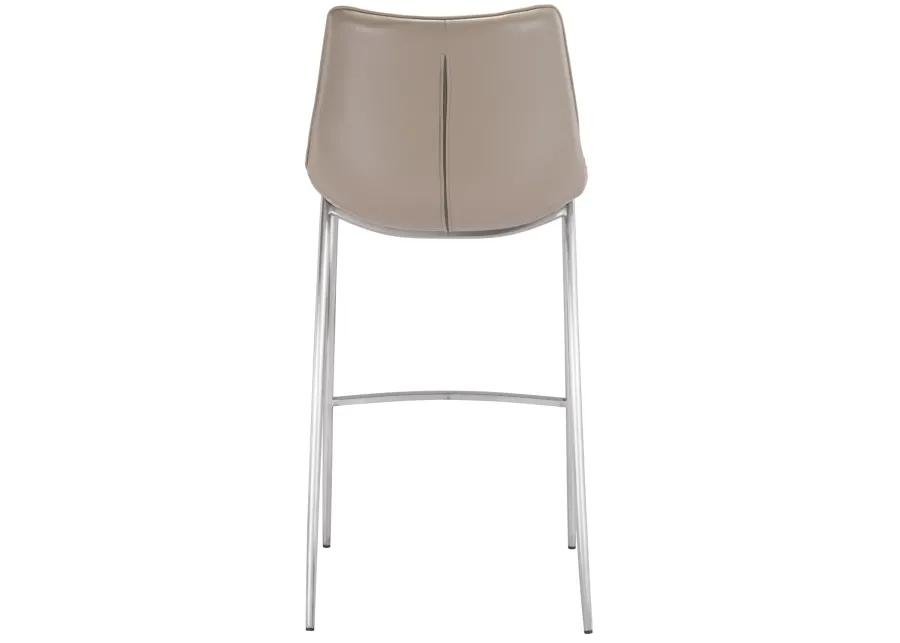 Magnus Barstool (Set of 2) Brown & Silver