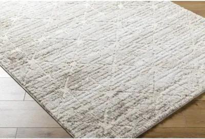 Andorra Plus ARP-2306 2' x 2'11" Machine Woven Rug