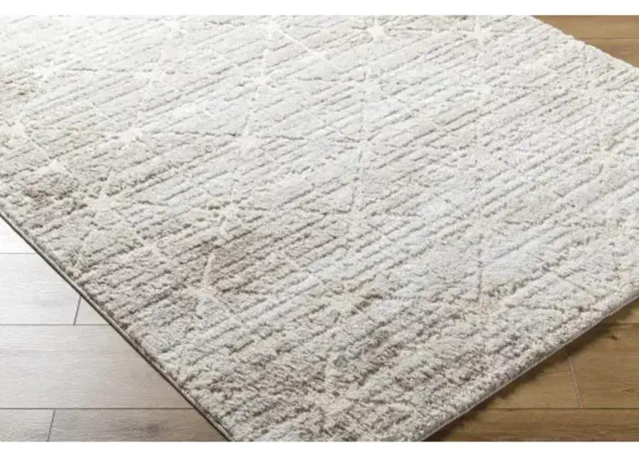 Andorra Plus ARP-2306 2' x 2'11" Machine Woven Rug