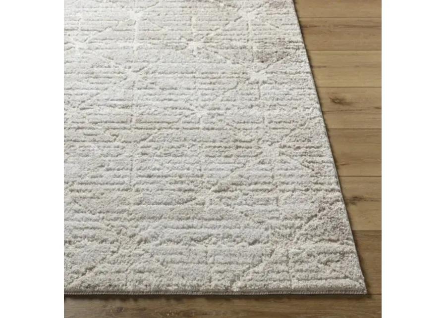 Andorra Plus ARP-2306 2' x 2'11" Machine Woven Rug