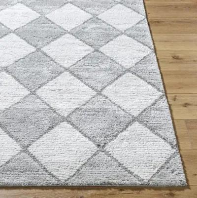 Delight Shag DEL-2307 5'3" x 7' Machine Woven Rug