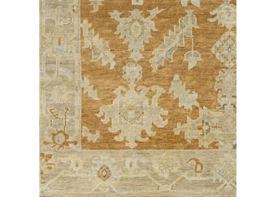 Antalya AAT-2302 10' x 14' Handmade Rug