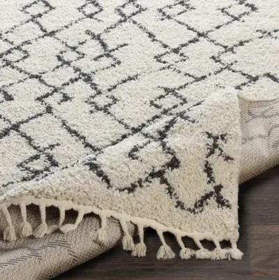 Berber Shag 6'7" x 9' Rug