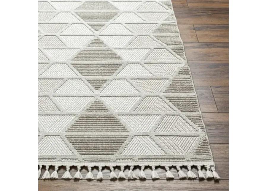 Finland FND-2301 5'3" x 7' Machine Woven Rug